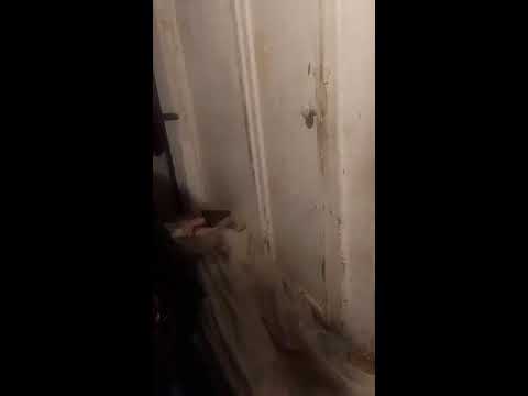 Кинконг — КИНГ КОНГ ЖИВ
