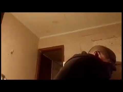 Кинконг — КИНГ КОНГ ЖИВ