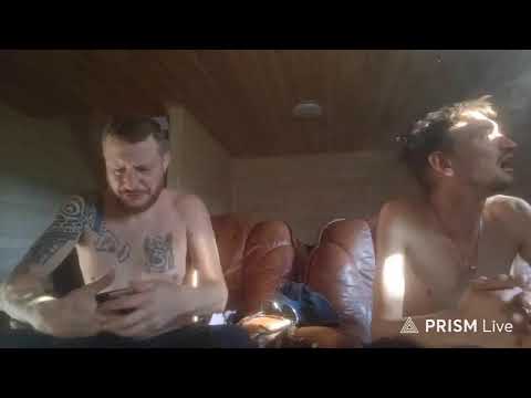 Гусь — Прямая трансляция Camera Shorts