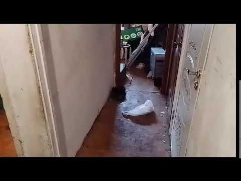 Кинконг — КИНГ КОНГ ЖИВ