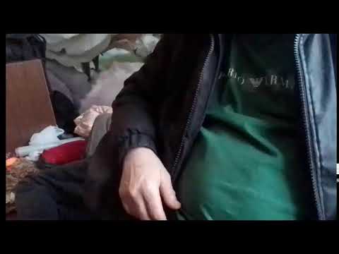 Кинконг — КИНГ КОН Г ЖИВ