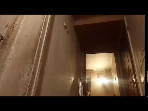 Кинконг — КИНГ КОНГ ЖИВ
