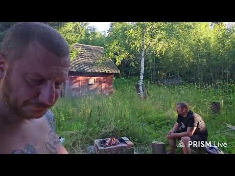 Гусь — Прямая трансляция Camera Shorts
