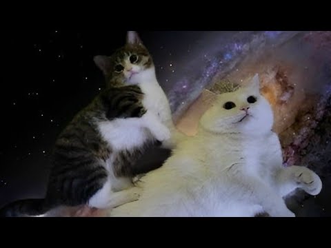 Костик 357 — flaco в прямом эфире!