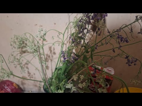БАРТЕЗ — терпение тв