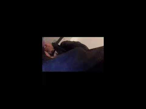 Кинконг — КИНГ КОНГ ЖИВ