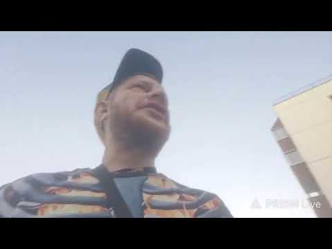 Гусь — Прямая трансляция Vova Timm