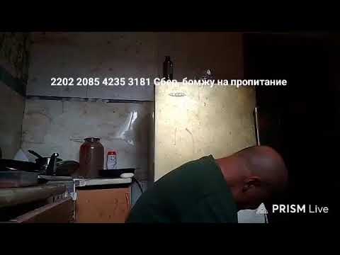 Прямая трансляция КИНГ КОНГ ЖИВ