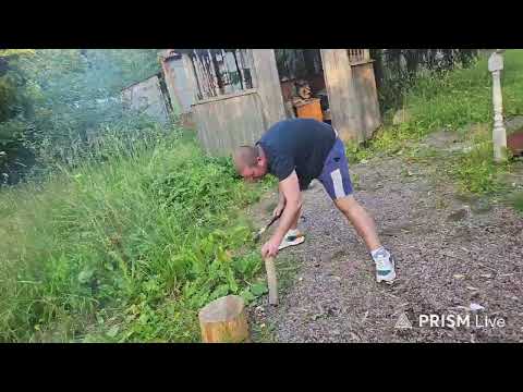 Гусь — Прямая трансляция Camera Shorts