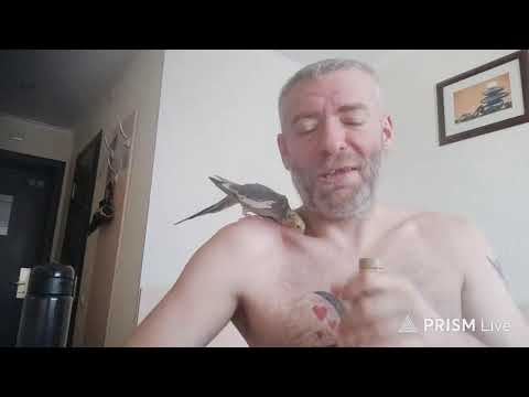 Жизнь Богатая!