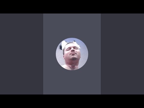 Гусь — Camera Shorts в прямом эфире!