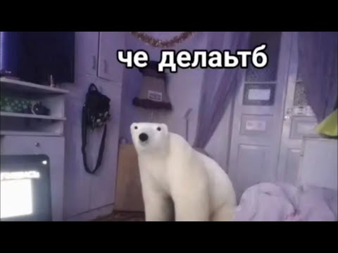 Эрика — разбираем коробки в коробке
