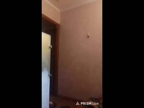 Кинконг — Прямая трансляция КИНГ КОНГ ЖИВ