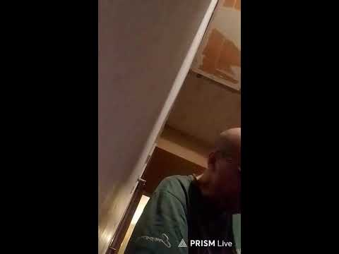 Кинконг — Прямая трансляция КИНГ КОНГ ЖИВ