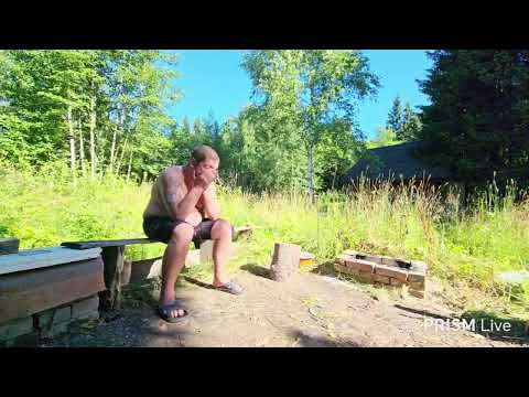 Гусь — Прямая трансляция Camera Shorts