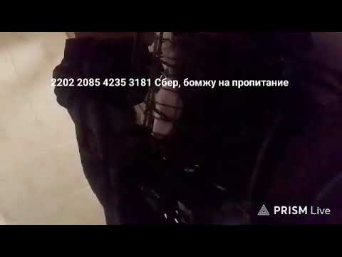 Кинконг — Прямая трансляция КИНГ КОНГ ЖИВ