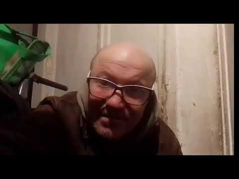 Кинконг — КИНГ КОНГ ЖИВ