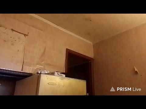 Кинконг — Прямая трансляция КИНГ КОНГ ЖИВ