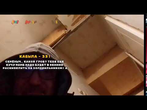 Кинконг — КИНГ КОНГ ЖИВ