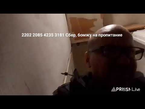 Кинконг — Прямая трансляция КИНГ КОНГ ЖИВ