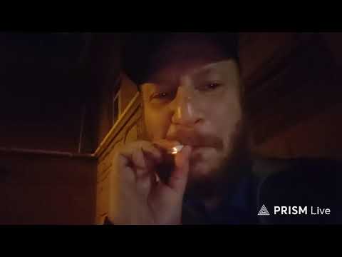 Гусь — Прямая трансляция CameraObsskura2.0