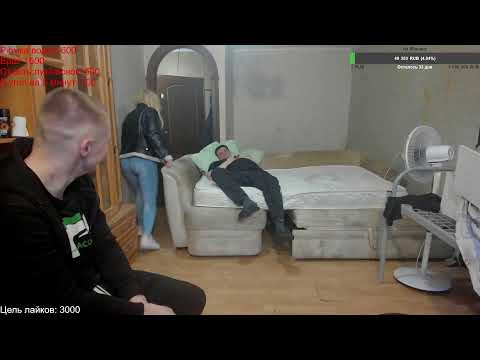 Дон Петух — Стрим в Сити