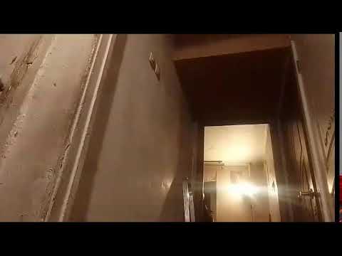 Кинконг — КИНГ КОНГ ЖИВ