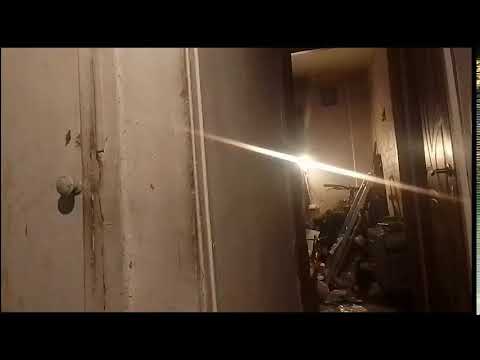 Кинконг — КИНГ КОНГ ЖИВ