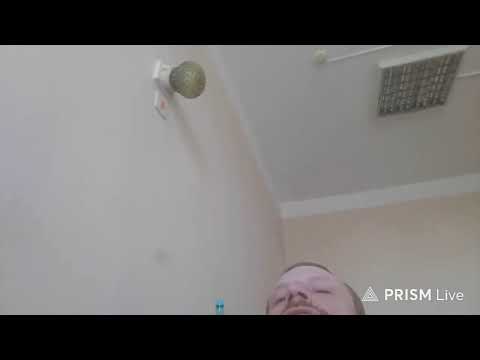 Гусь — Прямая трансляция CameraObsskura2.0