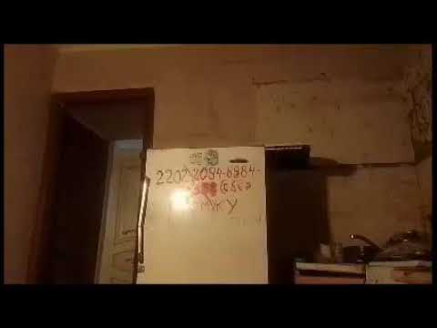 Кинконг — КИНГ КОНГ ЖИВ