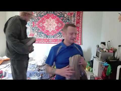 Гусь — ФУФЛО ТВ