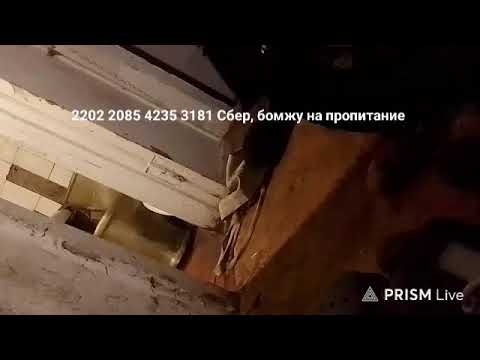 Кинконг — Прямая трансляция КИНГ КОНГ ЖИВ