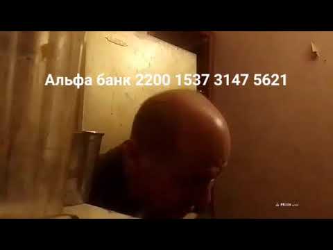 Кинконг — Прямая трансляция КИНГ КОНГ ЖИВ