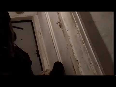 Кинконг — КИНКГ ЖИВ