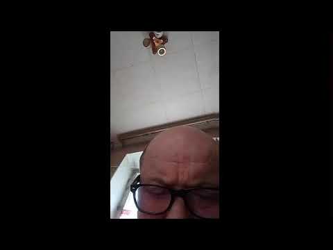 Кинконг — КИНГ КОНГ ЖИВ
