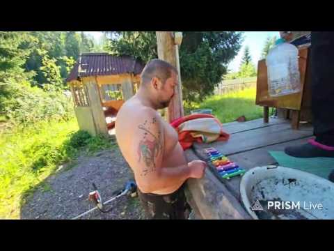 Гусь — Прямая трансляция Camera Shorts