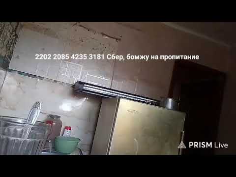 Кинконг — Прямая трансляция КИНГ КОНГ ЖИВ