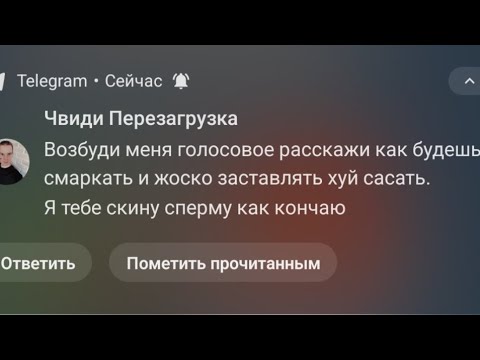 ВСЕ НА ШАШЛЫКАХ