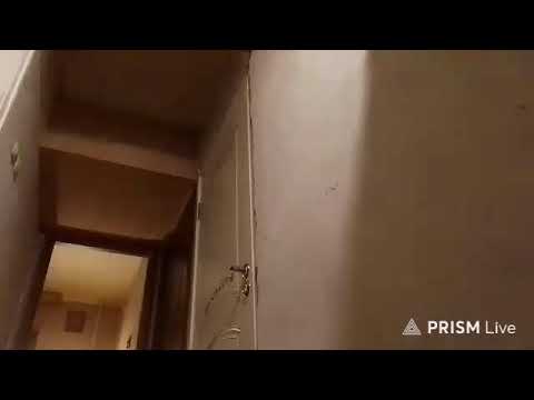 Кинконг — Прямая трансляция КИНГ КОНГ ЖИВ