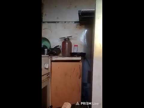 Кинконг — Прямая трансляция КИНГ КОНГ ЖИВ