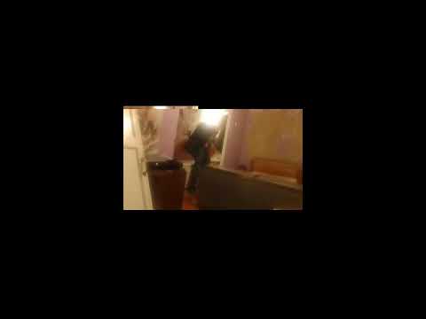 Кинконг — КИНГ  КОНГ ЖИВ