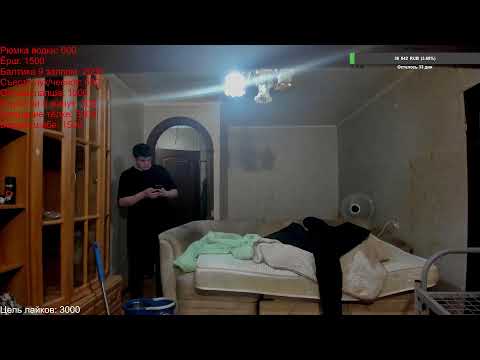 Дон Петух — Стрим в Сити