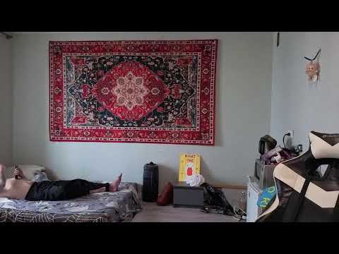 Гусь — ТВ