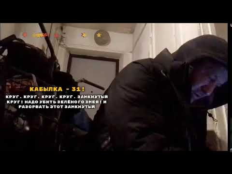 Кинконг — КИНГ КОНГ ЖИВ