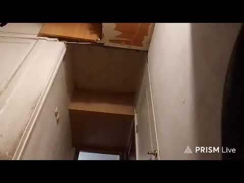 Кинконг — Прямая трансляция КИНГ КОНГ ЖИВ