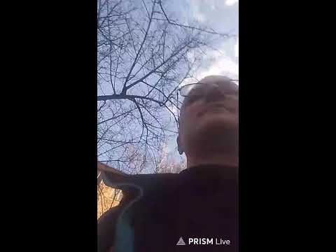 ГЕТКАКИ — Прямая трансляция САШКА ЗОЛОТОЙ ДОЖДИК