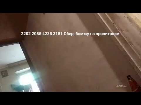 Кинконг — Прямая трансляция КИНГ КОНГ ЖИВ