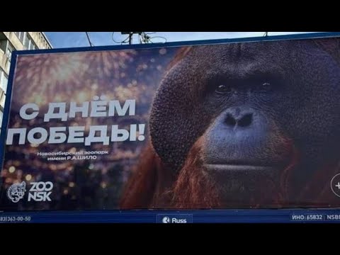 Марк — НА ВОТЧИНУ