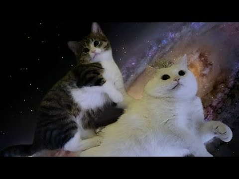 Костик 357 — flaco в прямом эфире!