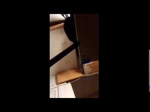Кинконг — КИНГ КОНГ ЖИВ